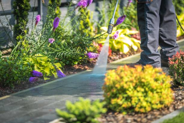 Best Sidewalk and Walkway Cleaning  in Caledonia, MI